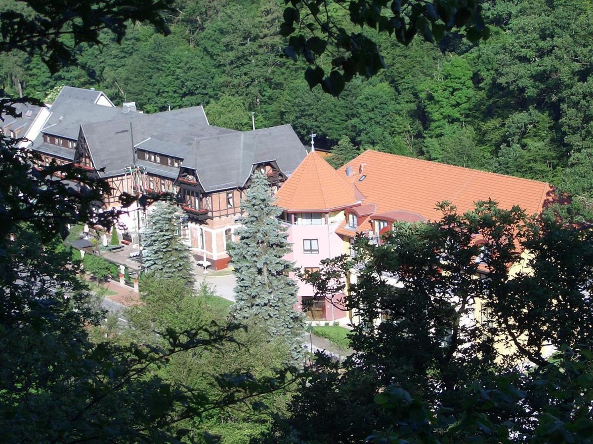 Hotel Habichtstein أليكسيسباد المظهر الخارجي الصورة