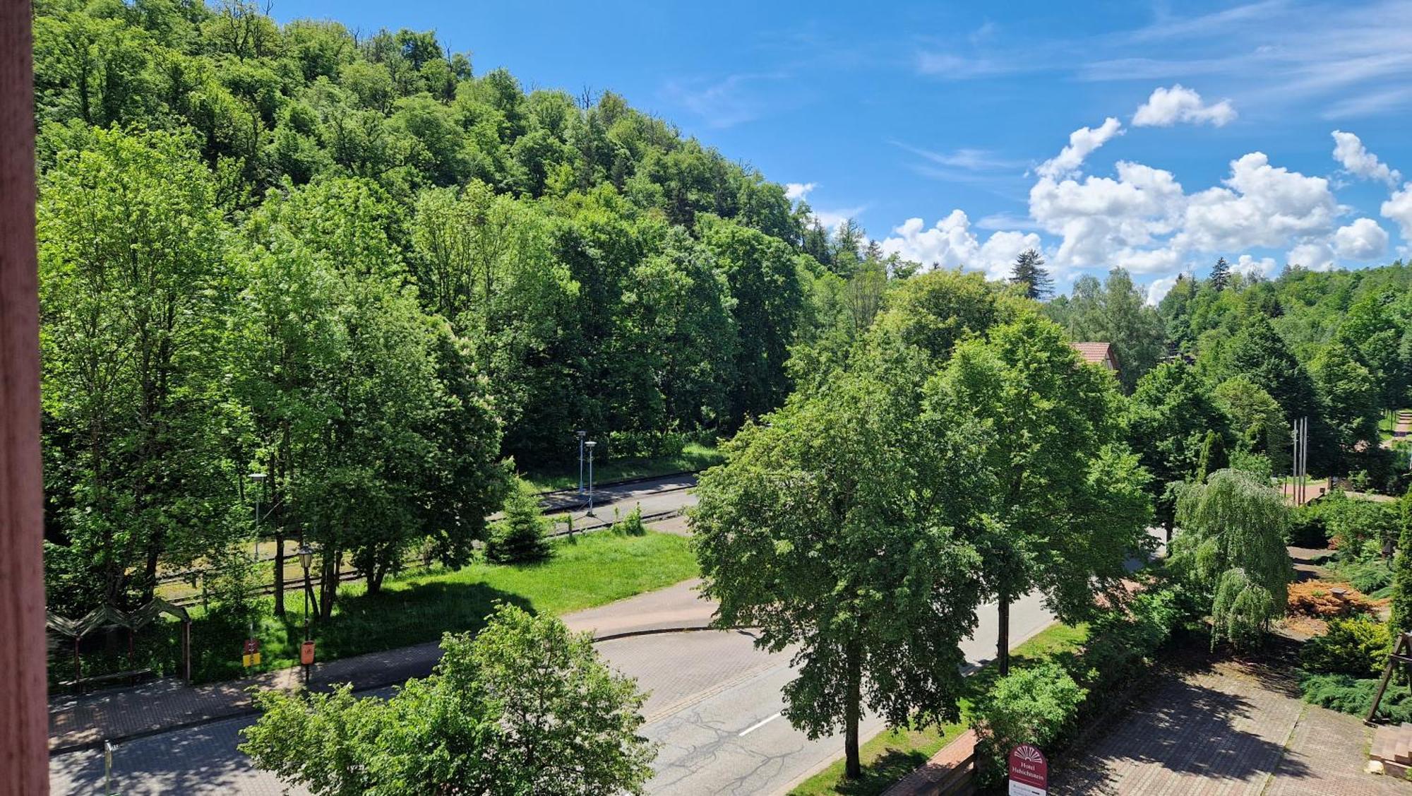 Hotel Habichtstein أليكسيسباد المظهر الخارجي الصورة