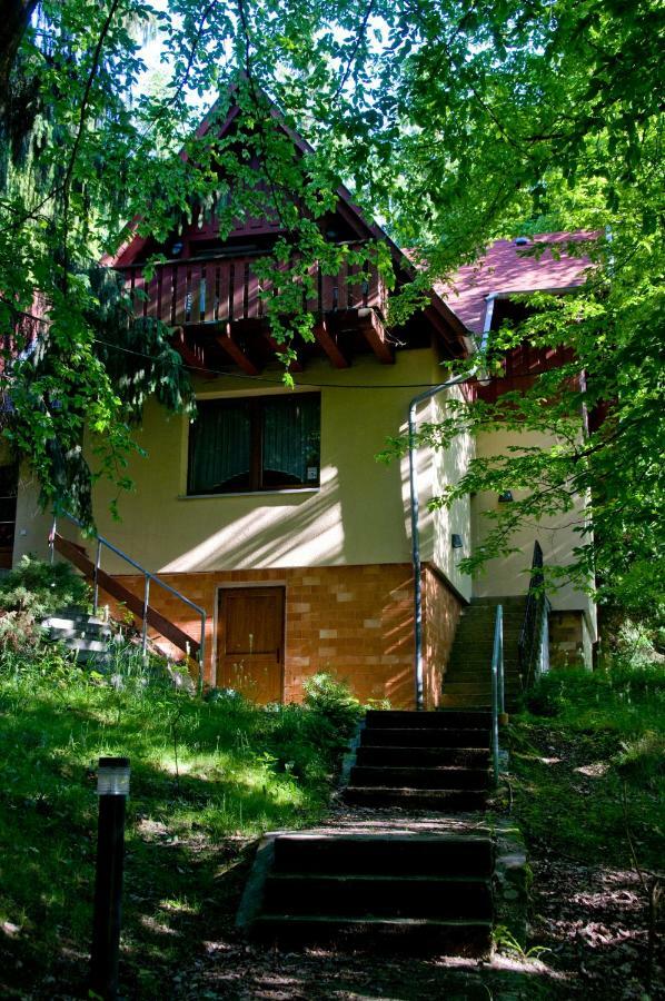 Hotel Habichtstein أليكسيسباد المظهر الخارجي الصورة